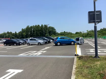 Казино Спайс Бинго Мобилно приложение